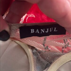 Banjul Tan and Silver Mesh Top